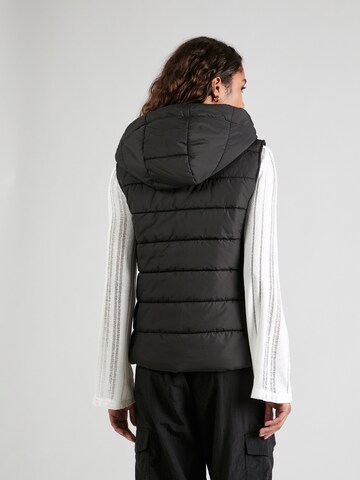 ABOUT YOU Bodywarmer 'Carina' in Zwart