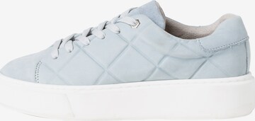 TAMARIS Sneaker in Blau