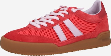 Baskets basses 'Verdict' STEVE MADDEN en rouge : devant