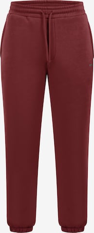 Smilodox Trousers in Red: front