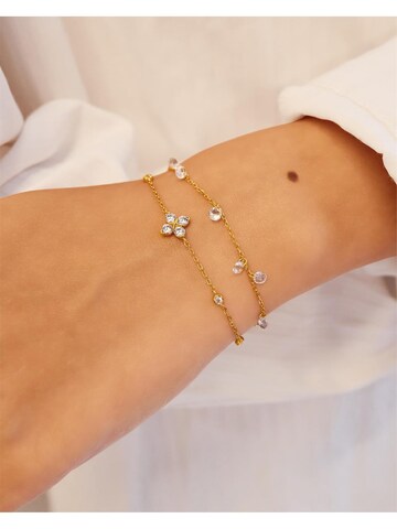 ANIA HAIE Armband in Gold