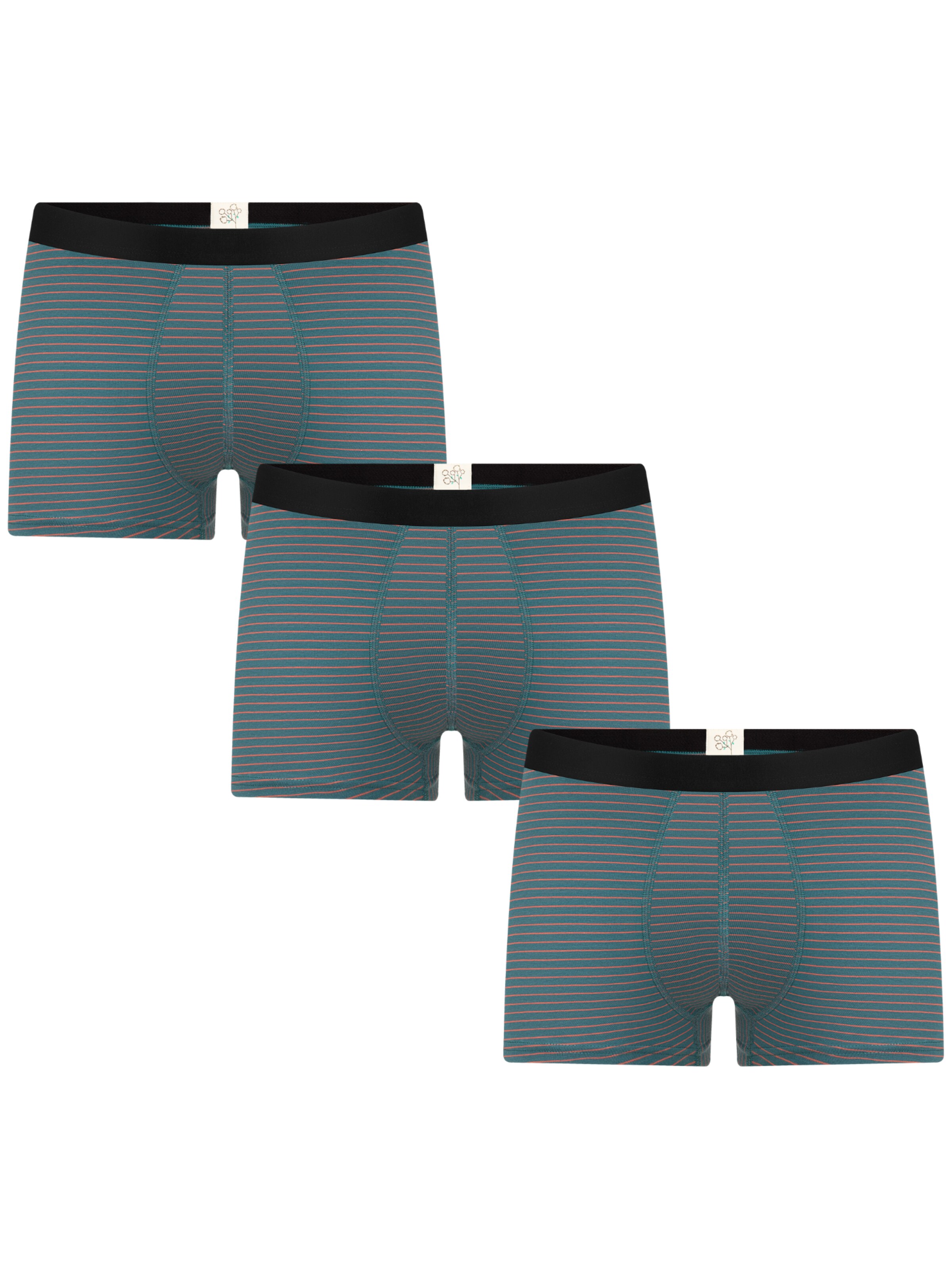 Albero Natur Boxer shorts in Green: front
