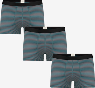 Albero Natur Boxer shorts in Green: front