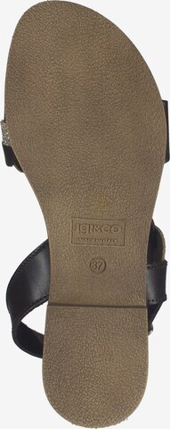 Sandalo con cinturino di IGI&CO in marrone