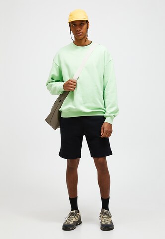 PEAK PERFORMANCE Sweatshirtpullover in Grün