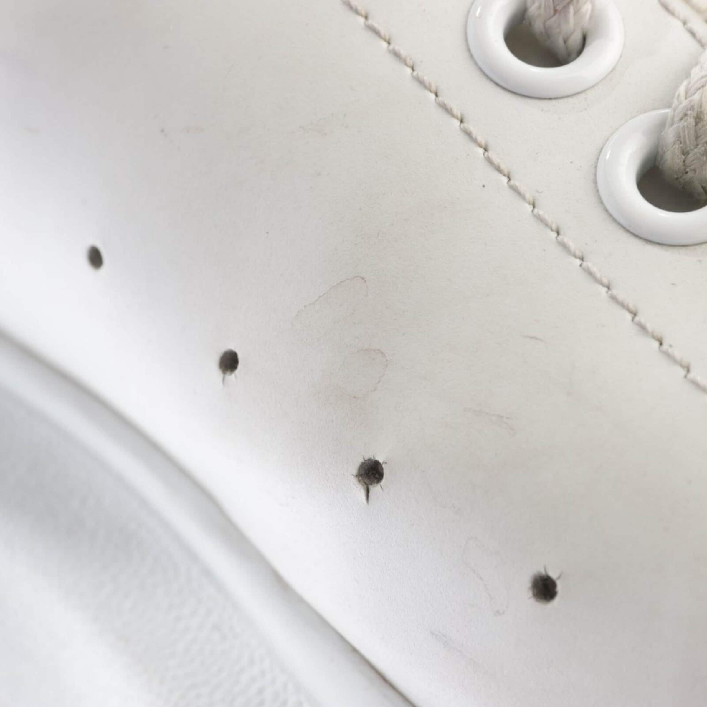 Alexander McQueen Sneakers & Trainers in 38,5 in Black