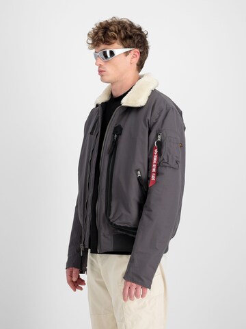 ALPHA INDUSTRIES Winter Jacket 'DA-3' in Grey: front