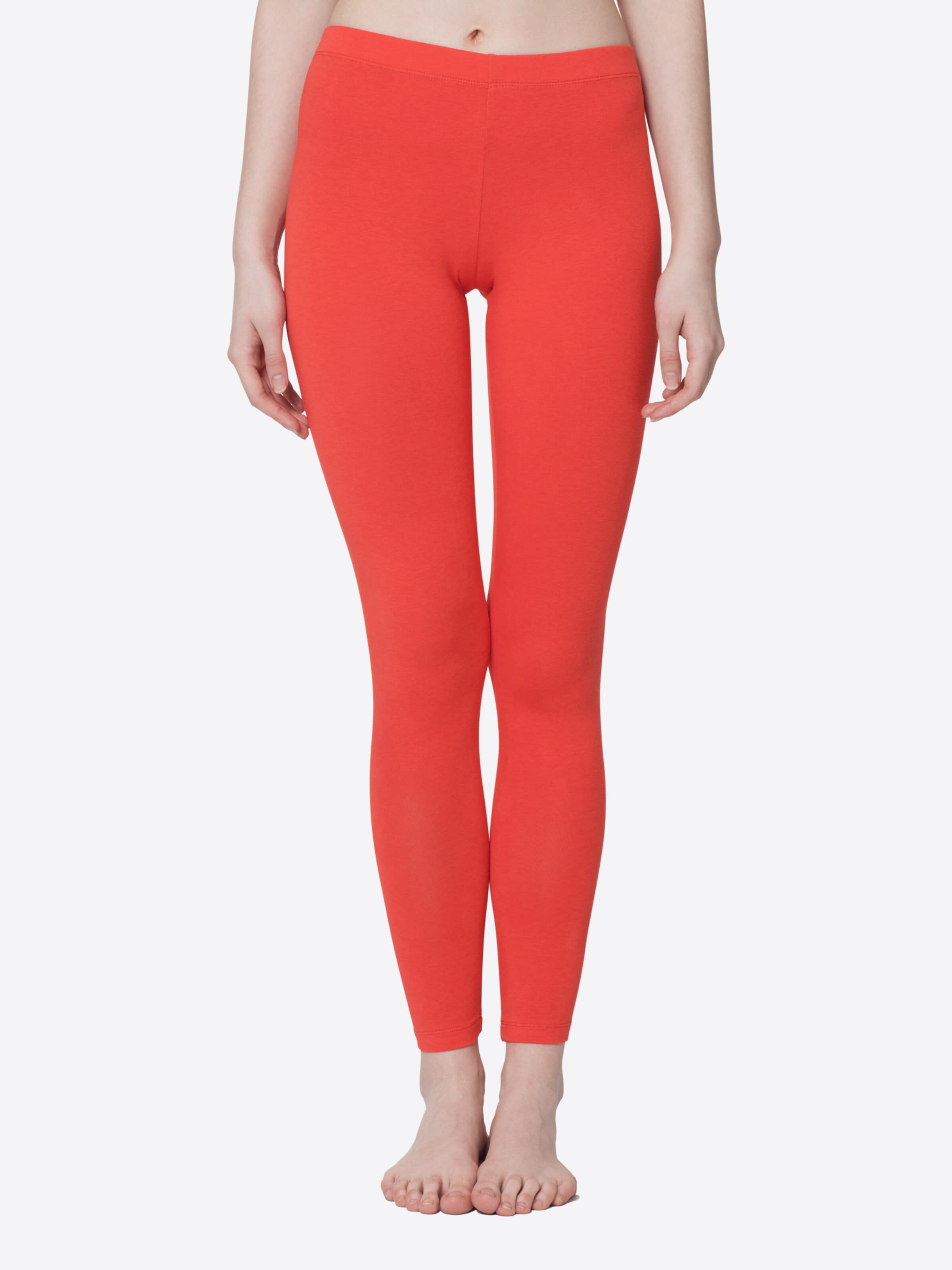 celodoro Slimfit Leggings 'Stretchy'‌‌‌ in Rot: Vorderseite