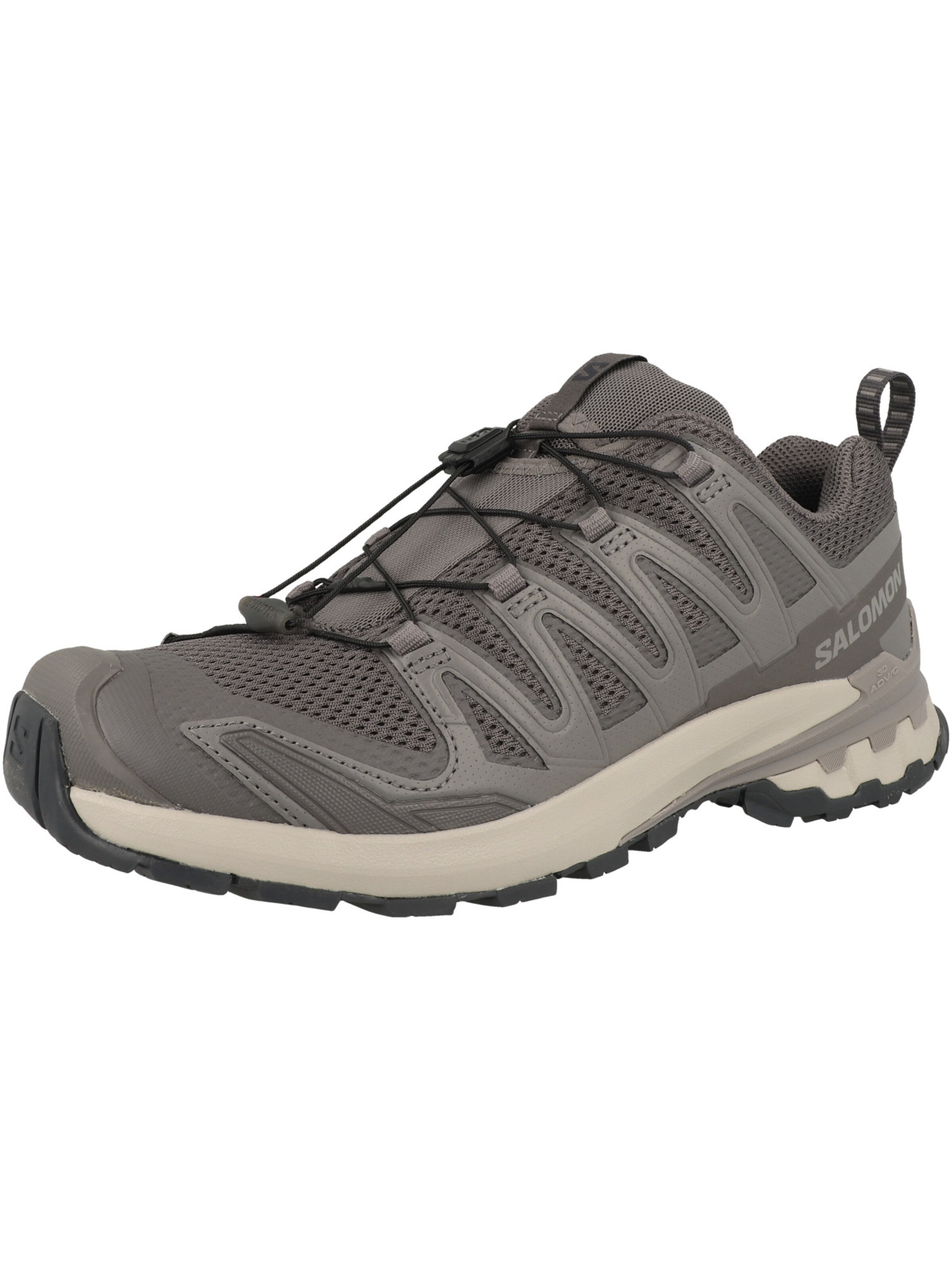 SALOMON Laufschuh 'XA Pro 3D V9' in Grau: Vorderseite
