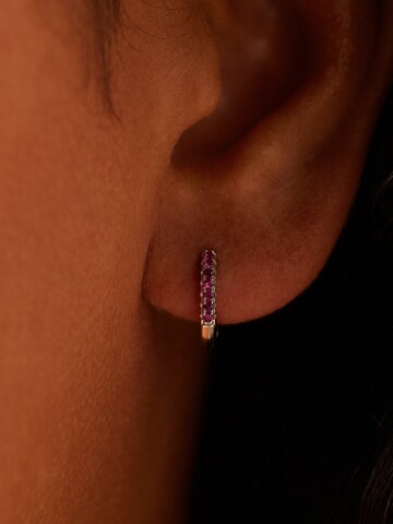 Lucardi Ohrringe in Silber