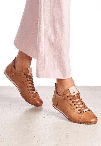 LLOYD Sneakers in Brown: front