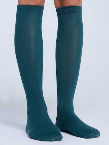 Albero Natur Knee High Socks in Green