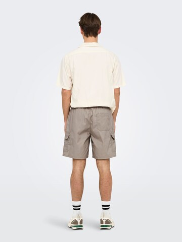 Only & Sons Regular Cargo trousers 'ONSKal' in Beige