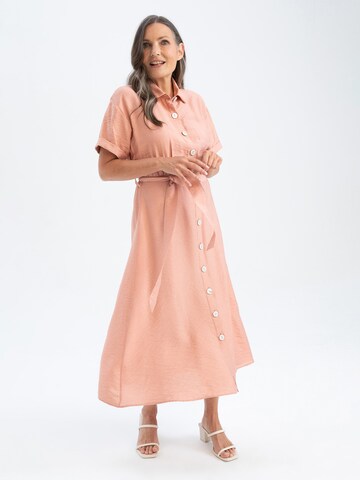 DeFacto Shirt Dress in Pink