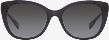 COACH Okulary przeciwsłoneczne w kolorze czarny