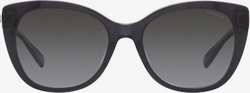 COACH Sunglasses in Black