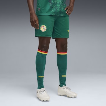 PUMA Regular Sports trousers 'Senegal' in Green: front