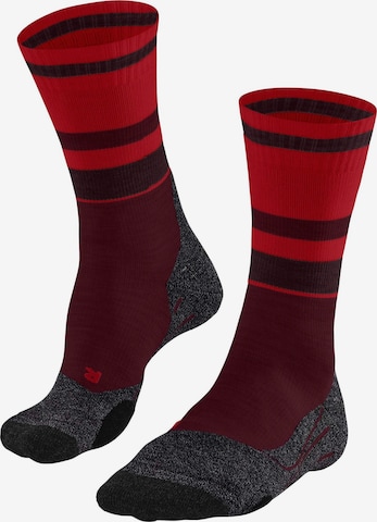 FALKE Sportsocken 'TK2 Explore Compression' in Mischfarben: Vorderseite