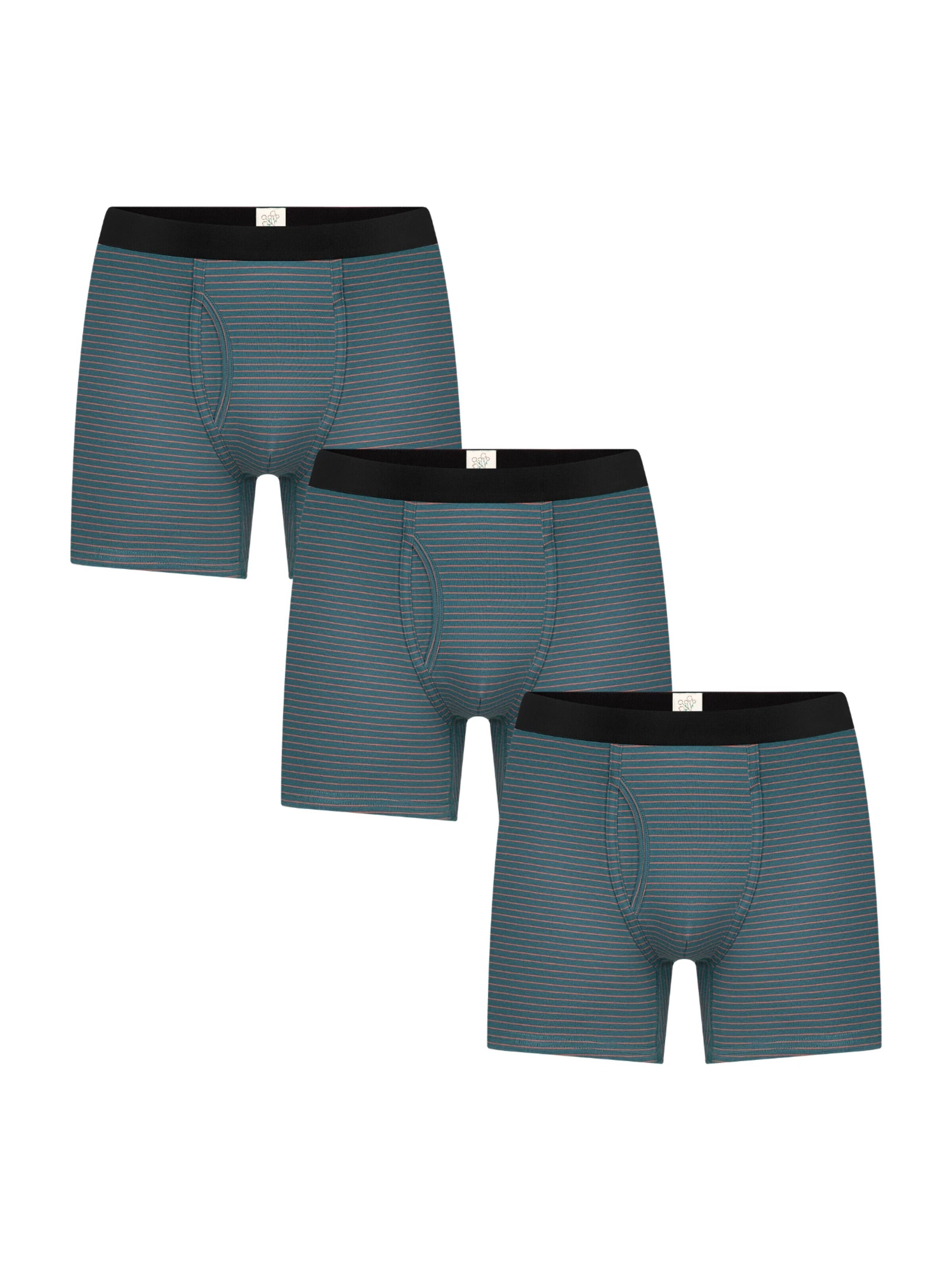 Albero Natur Boxer shorts in Green: front