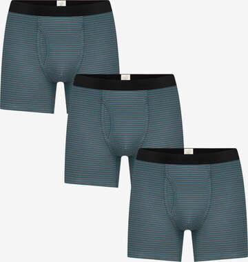 Albero Natur Boxer shorts in Green: front