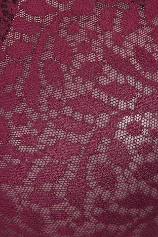 NUANCE by LASCANA - Reductor Sujetador en rojo