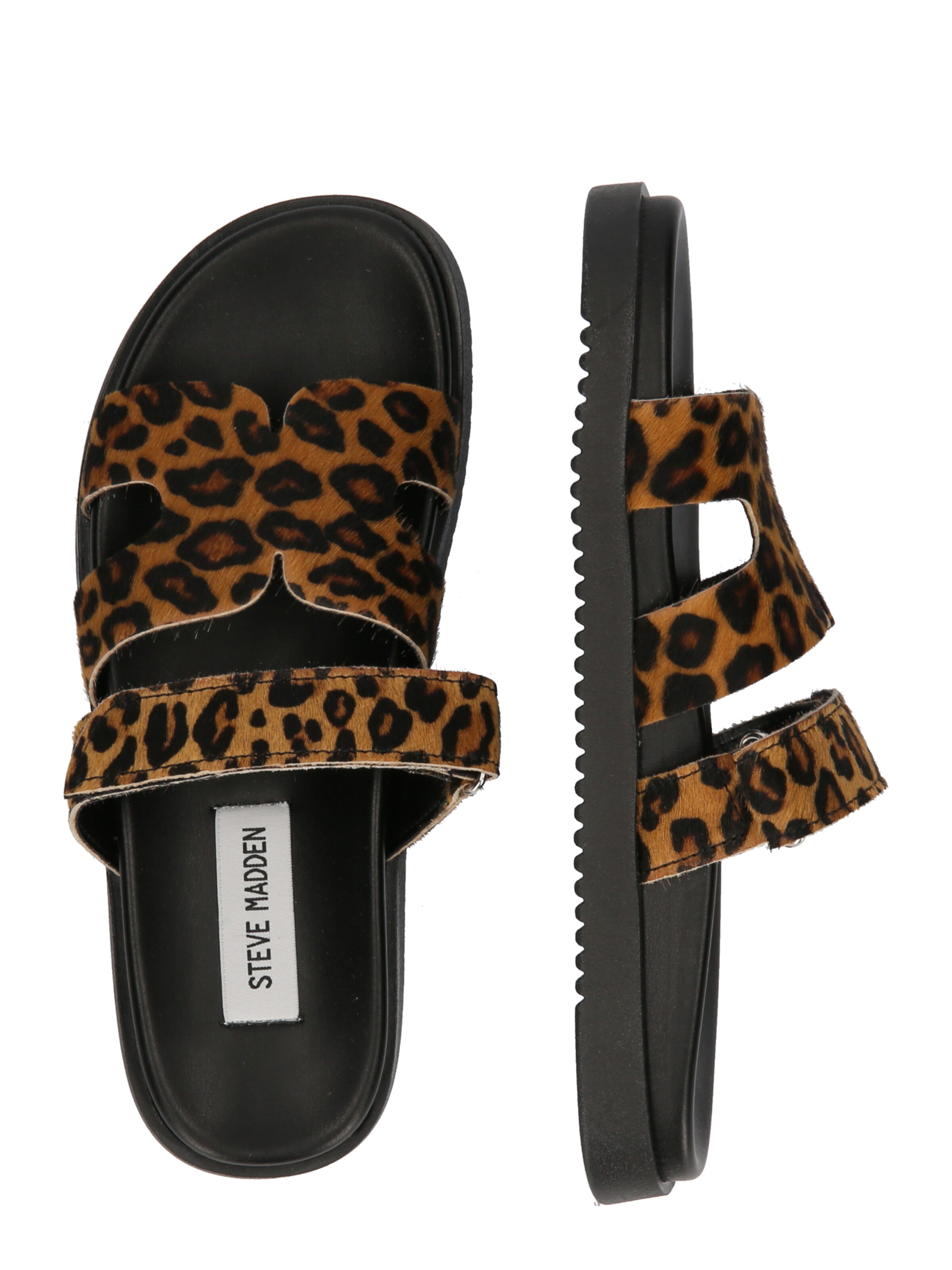 STEVE MADDEN Чехли 'Missile-L' в кафяво