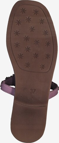 MARCO TOZZI T-Bar Sandals in Purple