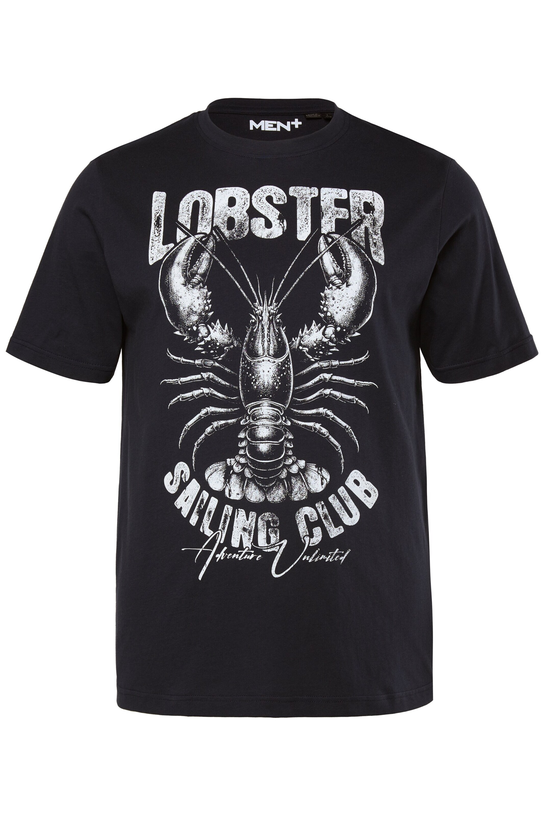 T-Shirt Men Plus en bleu : devant