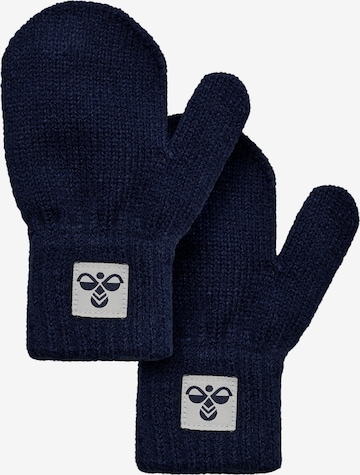 Hummel Handschuhe in Blau: Vorderseite