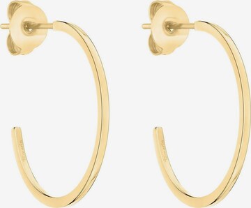 TAMARIS Earrings in Gold: front