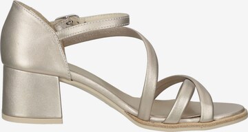 Nero Giardini Strap Sandals in Gold