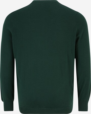 Polo Ralph Lauren Big & Tall Sweater in Green