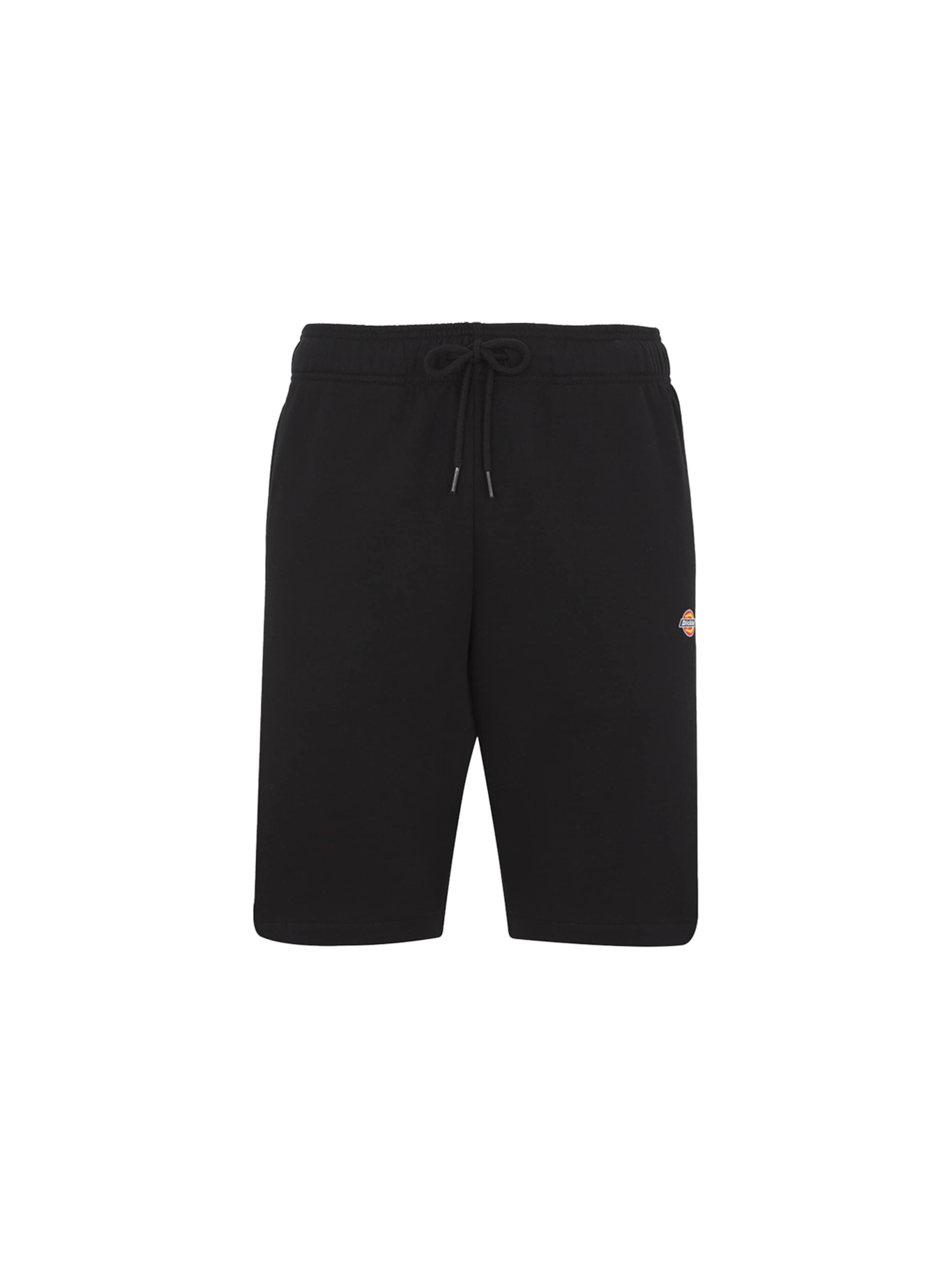 DICKIES Normalny krój Spodnie 'Mapleton' w kolorze czarny: przód