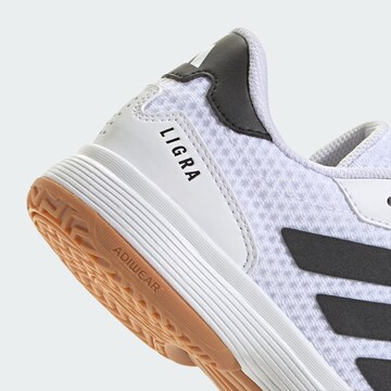 Chaussure de sport 'Ligra 8' ADIDAS PERFORMANCE en blanc
