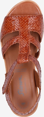 SIOUX Sandals ' Cosinda-702 ' in Brown