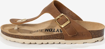 ruda Bayton Šlepetės per pirštą 'MERCURE': priekis