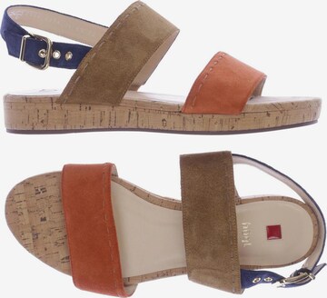 Högl Sandals & High-Heeled Sandals in 39,5 in Orange: front