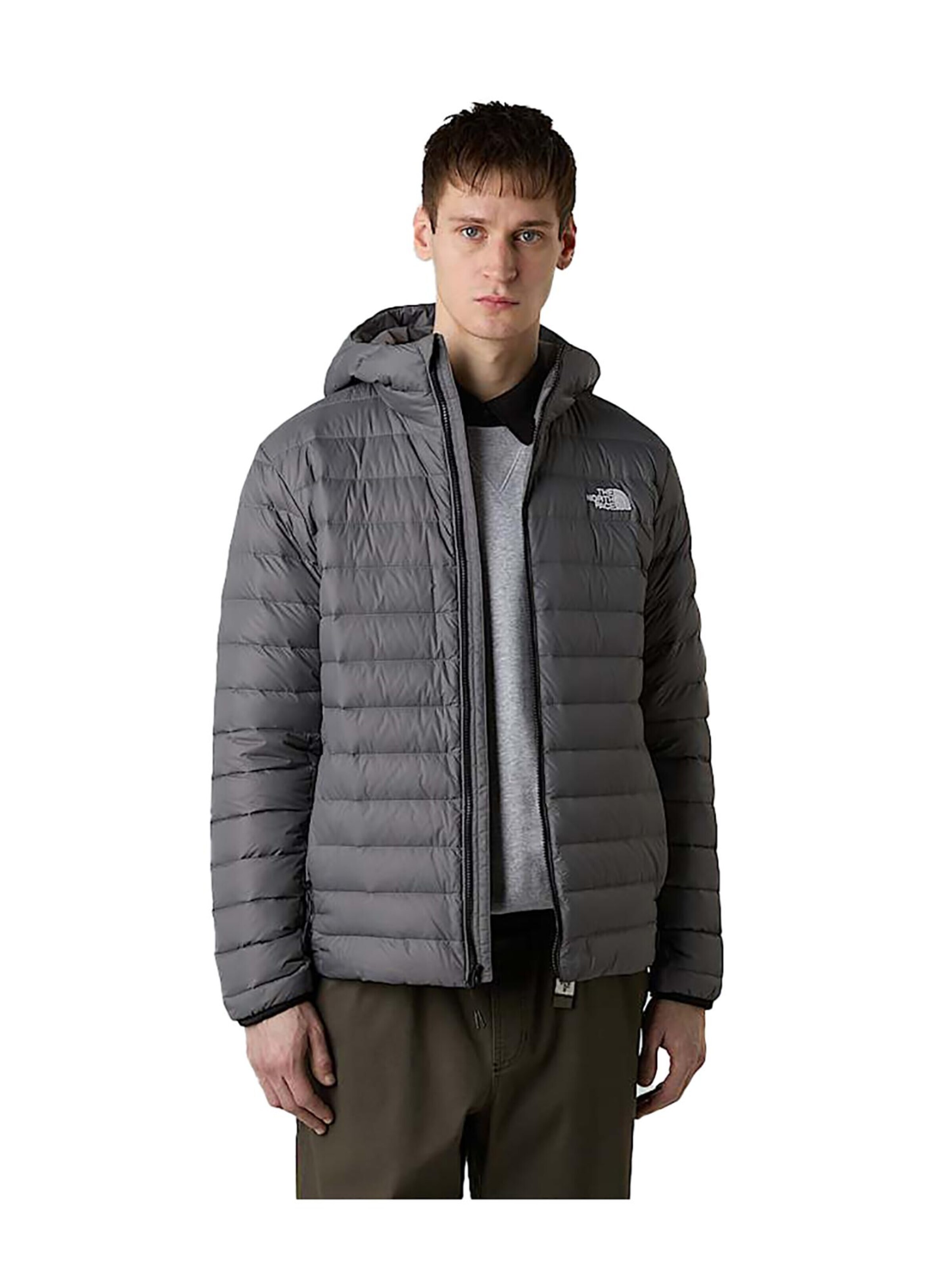 THE NORTH FACE Übergangsjacke‌ in Grau