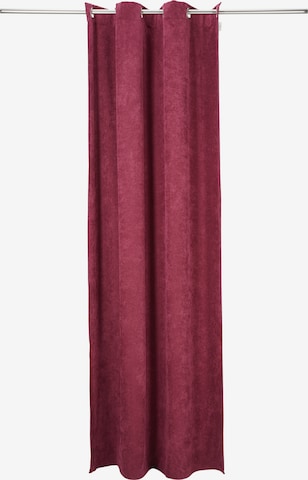 TOM TAILOR Curtains & Drapes in Red: front