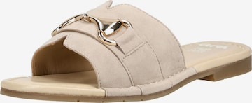 Zoccoletto di ARA in beige: frontale