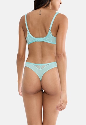 TRIUMPH Tangice 'Palina' | modra barva