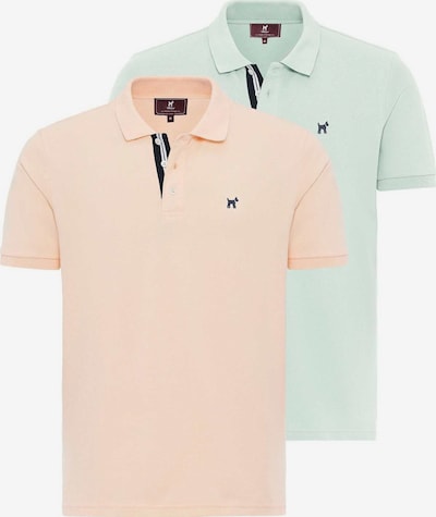 Williot Paita värissä minttu / roosa, Tuotenäkymä