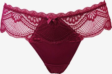 SugarShape Thong 'Pure Divine' in Red: front