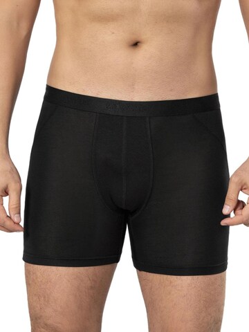 Weweus Board shorts in Black