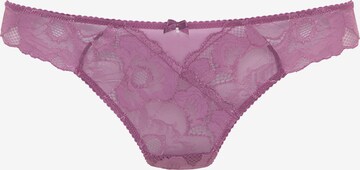 LASCANA Thong in Purple: front