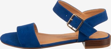 SuperCracks T-Bar Sandals 'Dedi' in Blue
