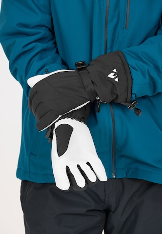 Whistler Sports gloves 'Codiak Softshell' in Black