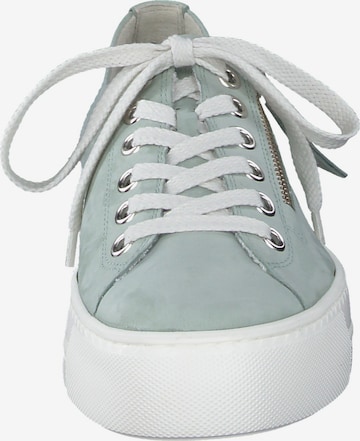 Sneaker bassa di Paul Green in verde