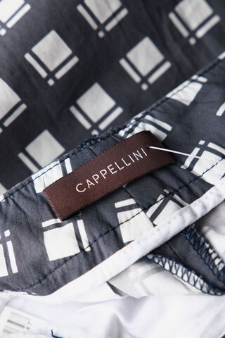 cappellini Pants in XL in Grey