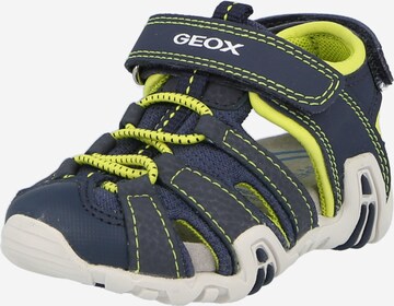 GEOX Open schoenen 'Kraze' in Blauw: voorkant